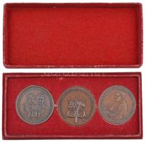 Bozó Gyula (1913-2004) 1991. "60 éves a magyar óceánrepülés Endresz György - Magyar Sándor / Ha...