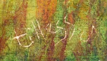 Tilless Béla (1932- ): Almafák, akril, farost, jelzett, 30×50 cm