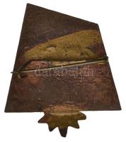 1960. "KGM Vasas T.E. 1960 200km-ért" zománcozott, havasi gyopárral díszített jelvény (30x...