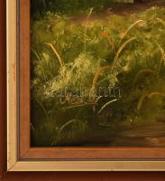 Mező Brigitta (1975?- ): Tanya, olaj, farost, jelzett, fa keretben, 39×58,5 cm