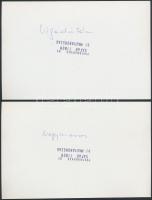 A nagymarosi vízlépcső ellenes tüntetésről készült 4 db sajtófotó, Sáfár Tibor Új Magyarország fotó,...