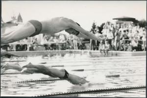 Úszók(Wladár Sándor, Vermes Albán), 3 db fotó, 18x12 cm