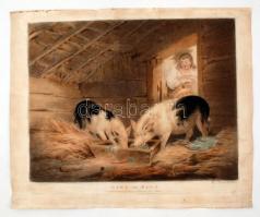 cca 1800 George Morland: Girl and pigs. Színezett metszet, papír, metszette: William Ward, 35×45 cm