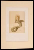 Pann, Abel (1883-1963): Ye will surely not die.
Heliogravűr, papír, jelzett a metszeten, kis gyűrőd...