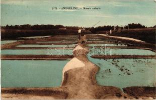 Angoulins, Marais salants / salt marshes (EK)