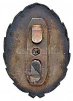 DN "Bólyai János Katonai Műszaki Főiskola" jelvénye, zománcozott, ezüstözött fém (46x33mm)...