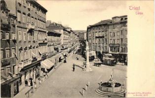 Trieste, Corso, tram, shop of Adolfo Seisser