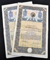 Budapest 1916. "A Magyar Korona Országai 6%-kal kamatozó járadékkölcsön" államadóssági köt...