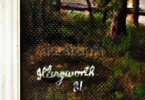 Olvashatatlan jelzéssel: Hattyú és kacsa, olaj, vászon, fa keretben, 31×41,5 cm