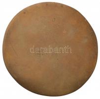 1972. "Bányakár Konferencia Balatonfüred" Br plakett (82-83mm) T:2