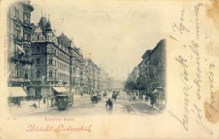 1899 Budapest VII. Erzsébet krt.