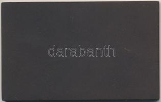 1971. "25 éves a forint" festett Br emlékplakett eredeti tokban (51x81mm) T:1