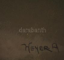 Heyer jelzéssel: Cica. Olaj, karton, keretben, 40×50 cm