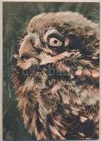 1961 A Természettudományi Közlöny V. évfolyamának 5. száma, címlapon Gagarinnal és a Vosztokkal