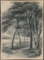Deli Antal (1886-1960): Erdőszéle. Szén, papír, jelzett, 25×16 cm