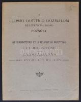 1913 A Ludwig Gottfried Gőzmalom részvénytársaság Pozsony. Az igazgatóság és a felügyelő bizottság évi jelentése valamint zárszámadás, pp.:8, 29x23cm