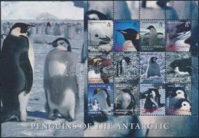 Pingvinek kisív (kis szakadás az ívszélen), Penguins minisheet (margin fault)