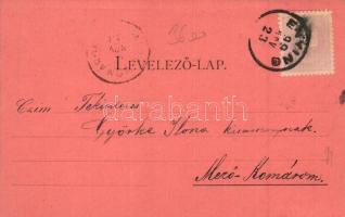 1899 Enying, Római katolikus templom, Gróf Csekonics Kastély, floral, Art Nouveau, kiadja Politzer I