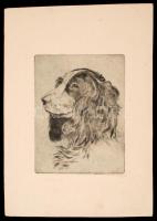 Pásztor Gábor (1933-2012): Spániel. Rézkarc, papír, jelzett, 19×15 cm