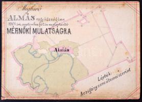 1901 Meghívó Mérnöki Mulatságra, Torontál Almás, 10x14cm