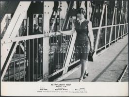 4 db filmfotó, rajta ismert színészekkel: Cserhalmi György, Kozák András, Pártos Erzsi, Kovács Kati,...