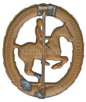 Németország / Weimari Köztársaság ~1930. "Lovas jelvény" Br jelvény függőleges tűvel, háto...