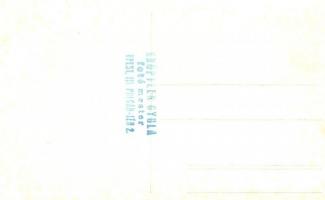 10 db 1920 és 1930 közötti fotó képeslap a Magyar Királyi Folyamőrség budapesti parancsnokságáról. C...