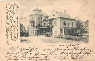 Laskó, Kőriserdő; Tökösi kastély; Ottokar Rechnitzer fénynyomdája / castle