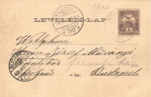 Laskó, Kőriserdő; Tökösi kastély; Ottokar Rechnitzer fénynyomdája / castle