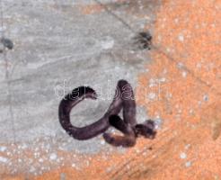 CA jelzéssel: Körmöske. Hideg zománc, csempe, falemezen, 39×29 cm