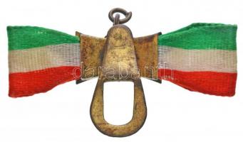 ~1930-1940. "HA" zománcozott fém gomblyukjelvény nemzeti színű szalaggal (hadiakadémia?) T...