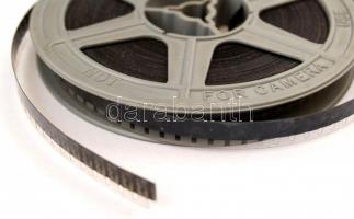 cca 1970 Nudista telepen valahol Svédországban, filmtekercs, 6-8 perc hosszúságú