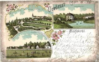 Siófok, látkép, villasor, parkrészlet; Art Nouveau, floral, litho (fl)