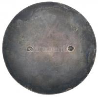 Ferenczy Béni (1890-1967) DN "Budapesti III. Kerületi Magyar Királyi Állami Főgimnázium jutalma...