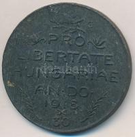 1918. "NT 1918 / PRO LIBERTATE HUNGARIAE AN DO 1918 - 30" hadifém emlékérem (38mm) T:2 fny., kis ph.