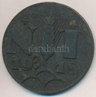 1918. "NT 1918 / PRO LIBERTATE HUNGARIAE AN DO 1918 - 30" hadifém emlékérem (38mm) T:2 fny...