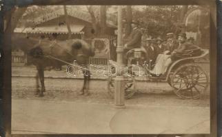 1908 Budapest XIV. Városliget(?), lovaskocsi, Dohány és Szivar áruda, photo (fa)