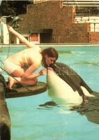 8 db MODERN motívumlap, állatok / 8 modern motive cards, animals