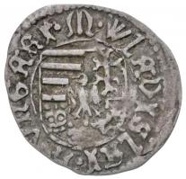 1498-1503. Denár Ag "II. Ulászló" (0,46g) T:2,2-
Huszár: 806., Unger I.: 640.a var
