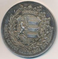 ~1900. "Békés Megyei Gazdasági Egyesület" jelzetlen Ag érem "Frank Ferencznek üszőjéért" gravírozással (26g/45mm) T:2 patina