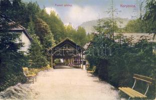Korytnica