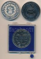 Sz. Egyed Emma (1935-) 1995. "A Soproni Sörgyár 100 éves" ezüstözött fém emlékérem (42,5mm...