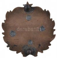 ~1950-1960. "Magyar Népköztársaság Automobil Klubja 1900" zománcozott Br autójelvény (78x7...