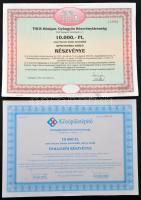 4db klf modern magyar részvény, közte "Ingatlanbank Rt." "MINTA" alternatív kama...