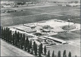 1971 Balatonboglári Állami Gazdaság borkombinátja, vintage légifotó, 16,5x23,5 cm