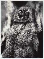 cca 1975 Lentiben készült fotósorozat a télűző farsangról, 7 db vintage fotó, 24x18 cm