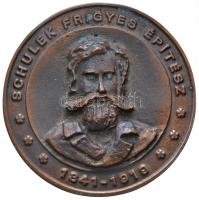 2001. Schulek Frigyes építész 1841-1919 Br emlékérem (78mm) T:2