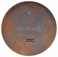 2001. "Schulek Frigyes építész 1841-1919" Br emlékérem (78mm) T:2