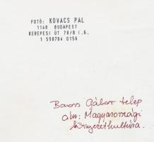 cca 1984 Kovács Pál: Baross Gábor telep (Budapest), magyarországi környezetkultúra, pecséttel jelzet...