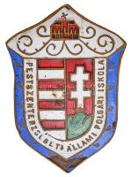 ~1920-1930. "Pestszenterzsébeti Állami Polgári Iskola" zománcozott fém jelvény (43x30mm) T:2,2- zománchiány